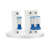 NVSFZGIYG Lot de 10 Mini-disjoncteurs DZ47-63DC 1-2P 6-63A DC 250 V-1000 V for système Solaire PV, Protection Batterie, Interrupteur Positif et négatif(50a,2P 500VDC)