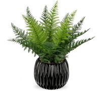 Oairse Fougère artificielle en pot de 32 cm - Petites plantes vertes artificielles avec vase en céramique noire - Plante artificielle en pot pour décoration d'intérieur maison bureau desk salle de
