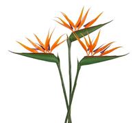 Oairse Lot de 3 fleurs artificielles Oiseau de paradis - 90 cm - Plantes vertes décoratives - Fausse tige - Arrangements floraux - Pour la maison, le jardin, le bureau, la véranda, la décoration de