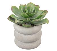 Oairse Plantes succulentes artificielles dans un pot en céramique de 20 cm - Plante d'agave artificielle d'intérieur décoative pour la maison, le bureau, la salle de bain, l'étagère, la décoration de