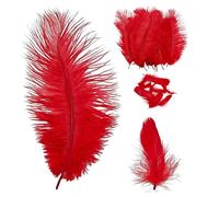 OAOSDH 10 Morceaux De Plume D'Autruche Et 10 Morceaux De Plume d'oie, De Décoration De Plumes Et De Plumes pour L'Artisanat, À La Fabrication De Vêtements Et À La Décoration Domestique.