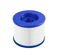 Oaqmvgin Filtre de piscine pour spa et piscine : pack de remplacement | Contenu : 1 filtre de piscine ; la réflexion de la lumière et l'affichage peuvent provoquer des variations de couleur entre