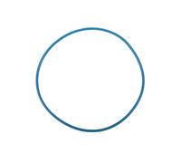 Oase Joint Filtoclear - Grande Bague d'étanchéité pour couvercle/conteneur du filtoc lears