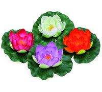 Oase pontec-pondolily-White Water Lily Fleur