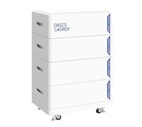 Oasesenergy LiFePO4 48V 400Ah Lithium Batterie（4Pack 100Ah）, Smart BMS, Batterie intégrée 20kWh pour RV, Stockage Solaire, Stockage d'énergie pour la Maison Bateau, Camping