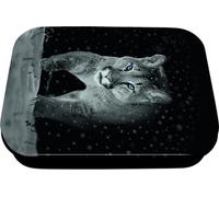 Oberthur - 1 Boîte à Bons Points en Métal - Visuel Cougar/Puma - Dimension 8 x 11 x 2,5 cm