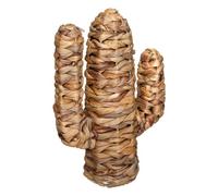 Cactus ""Haci"" jacinthe d eau H35cm - Atmosphera createur d'interieur - Beige moyen