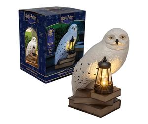 Objet lumineux extérieur - PALADONE - Hedwige - Solaire - Multicolore - Jusqu'à 8h d'éclairage