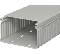 OBO Bettermann 6178037 Goulotte de câblage (L x l x H) 2000 x 100 x 60 mm 1 pc(s) gris roche