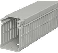 OBO Bettermann 6178205 Goulotte de câblage (L x l x H) 2000 x 40 x 60 mm 1 pc(s) gris roche