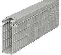OBO Bettermann 6178225 Goulotte de câblage (L x l x H) 2000 x 25 x 80 mm 1 pc