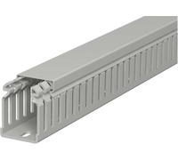 OBO Bettermann 6178312 Goulotte de câblage (L x l x H) 2000 x 37.5 x 50 mm 1 pc(s) gris roche