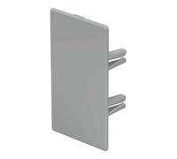 OBO Bettermann OBO Bettermann Embout de finition pour 60x110 WDK HE60110GR Quantité:1
