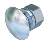 OBO Bettermann OBO Bettermann Vis plate ronde zinguée feu FRS 10x25 TPS F Quantité:50