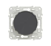 Obturateur 1 poste Odace Anthracite Schneider