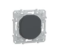 Obturateur 1 poste Ovalis Anthracite Schneider