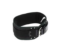 Ochsenkopf Ceinture forestière professionnelle OX 125-0000 Noir, 440 g, 4 x 2 x 1,5 cm