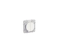 Schneider Electric - Odace, double poussoir Blanc, à vis, connexion rapide - S520216