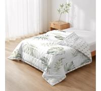 Odot Couette sans Housse 2.5 Tog (Feuille 4,173x218cm)