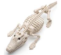 Odoukey Squelette d'halloween, Accessoire de Squelette d'animal réaliste, Crocodile en résine Blanc Laiteux pour décoration intérieure et extérieure 'Halloween