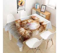 Oduo Nappe Imperméable Polyester Rectangulaire, Nappe imprimée Chat 3D Antitache Anti-Moisissure Antifouling Lavable et Facile d'entretien Cuisine Fête (Chat Orange,100x140cm)