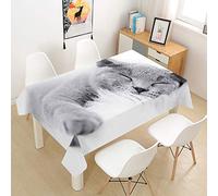 Oduo Nappe Imperméable Polyester Rectangulaire, Nappe imprimée Chat 3D Antitache Anti-Moisissure Antifouling Lavable et Facile d'entretien Cuisine Fête (Gris Clair,100x140cm)