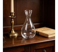 OEBUAFI Vase de Démarrage en Verre pour Avocat, Pot Hydroponique élégant pour Les Enfants et Les Activités de Jardinage Familial (Clair)