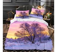 OENISE Scène De Neige Housse de Couette 240x260 Adulte 3D Motif Hiver Parure de Lit 2 Personnes en Doux Microfibre Linge de Lit 3 Pièces avec Fermeture Éclai et 2 Taie d'oreiller 50x75