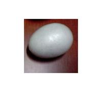 Oeuf En Polystyrene De 10cm