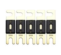 Offgridtec Lot de 5 fusibles ANL DIN43560/1 100 A 72 V