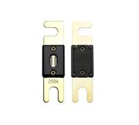 Offgridtec Lot de 5 fusibles ANL DIN43560/1 250 A 72 V