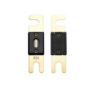 Offgridtec Lot de 5 fusibles ANL DIN43560/1 60 A 72 V