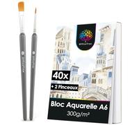 OfficeTree Lot de 40 feuilles de papier aquarelle A6 300 g - Bloc à dessin blanc - Bloc à dessin avec 2 pinceaux - Cartes postales vierges - Papier aquarelle