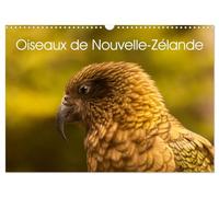 Oiseaux de Nouvelle-Zélande (Calendrier mural 2027 DIN A3 vertical), CALVENDO calendrier mensuel: Photographies d'oiseaux de Nouvelle - Zélande