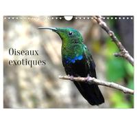 Oiseaux exotiques (Calendrier mural 2027 DIN A4 vertical), CALVENDO calendrier mensuel: Oiseaux exotiques du monde entier