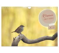 Oiseaux libres et sauvages (Calendrier mural 2027 DIN A4 vertical), CALVENDO calendrier mensuel: Oiseaux libres et sauvages dans leur milieu naturel.