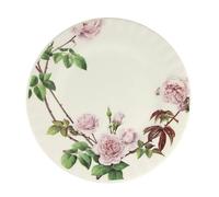 OLD 6 assiettes à dessert English Rose de David Austin - Roy Kirkham