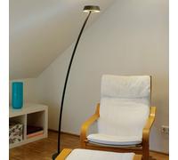 Oligo GLANCE Lampaire LED courbé, G44-883-21-23,