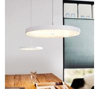 OLIGO Plus DECENT MAX Suspension LED, G42-884-10-21,
