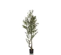 Plante artificielle / arbre artificiel OLIVIE I 172 cm vert