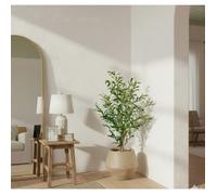 Olivier artificiel 100 cm, Plante décorative avec Feuilles et Olives réalistes pour salon, chambre ou bureau
