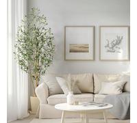 Olivier artificiel de 180 cm, pour l'intérieur, grande plante artificielle en pot avec mousse, tronc réaliste, branches et fruits ajustables, idéal pour la décoration intérieure. Spécifications :Coule