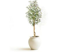 Olivier artificiel - LUNSY - 150 cm - Deux troncs - Feuilles ovales vertes - Olives violettes - Pot blanc inclus
