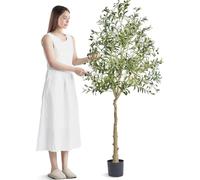 Olivier artificiel, plante artificielle de 1,8 m de haut, matériau PE sécurisé et protection anti-basculement Plante nécessitant peu d'entretien, arbre artificiel réaliste en pot pour la décoration de