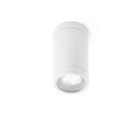 Olot 1-lumière plafonnier de jardin blanc
