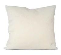 Oreiller moelleux aloe vera à mémoire de forme marque Nupsia : 60 x 60 cm