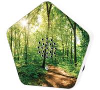Olymp Sounds of Nature Box | Sons naturels pour la détente et la tranquillité | Barre de son avec chant d'oiseaux, murmure de ruisseau, prairies de montagne, bruit de la mer | Boîte à musique avec