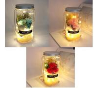 OMABETA Bouteille de souhaits avec veilleuse Rose éternelle romantique jamais fanée, veilleuse, bouteille de deco petits Rose Rouge