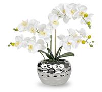 Omgoods - Orchidées d'intérieur en pot, variété Phalaenopsis blanche, 48 cm, pour la décoration intérieure