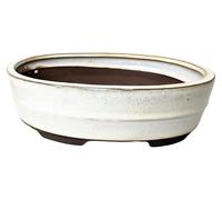 Omgoods - Pot en céramique émaillée pour bonsaï, sans soucoupe - Crème, 20 cm